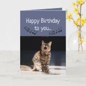 Carte Chat mignon drôle chantant Joyeux anniversaire (Fleur jaune)