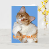 Carte Chat mignon en pose - Anniversaire Général (Fleur jaune)