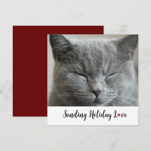 Carte Chat mignon Envoi de vacances Amour