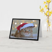 Carte Chat mignon portant un chapeau de Noël (Fleur jaune)