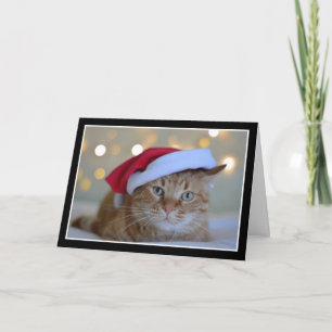 Carte Chat mignon portant un chapeau de Noël
