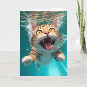 Carte Chat Mignon qui Nage en Plongeant sous l'Eau dans 