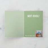 Carte Chat mignon S'en sortir (Intérieur)