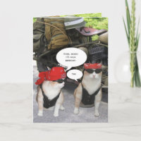 Chat motard personnalisable