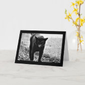 Carte "Chat noir " (Fleur jaune)