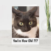 Carte Chat noir (Devant)