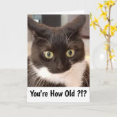 Carte Chat noir (Fleur jaune)