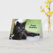 Carte Chat noir 4 (Fleur jaune)