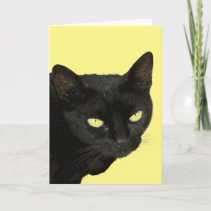 Carte Chat Noir Avec Belle Yellow Eyes Vector Art