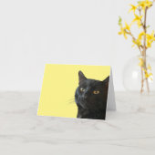 Carte Chat Noir Avec Une Expression Amusante Et Excentri (Fleur jaune)