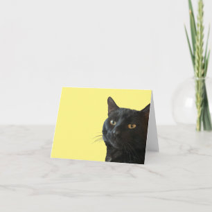 Carte Chat Noir Avec Une Expression Amusante Et Excentri