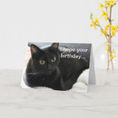 Carte Chat noir d'anniversaire (Fleur jaune)
