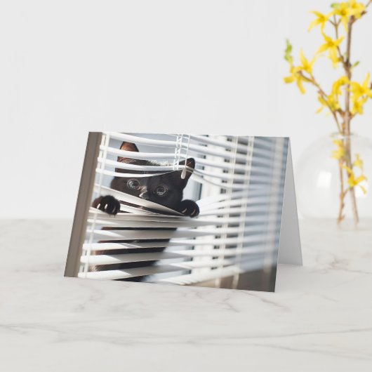 Carte Chat noir dans les aveugles Penser à vous (Fleur jaune)