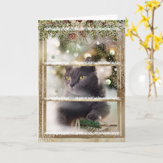 Carte Chat noir dans une fenêtre de Noël (Fleur jaune)