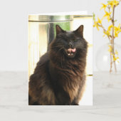 Carte Chat noir de Halloween avec un oeil (Fleur jaune)