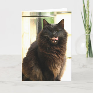 Carte Chat noir de Halloween avec un oeil