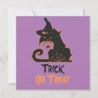 Chat noir de sorcière Halloween araignées effrayan