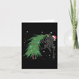 Carte Chat Noir Drôle Père Noël Tangée Dans L'Arbre De N