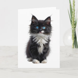 Carte Chat noir et blanc à poil long Yeux bleus vides