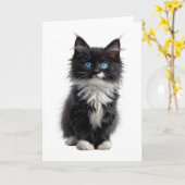 Carte Chat noir et blanc à poils longs Yeux bleus vides (Fleur jaune)