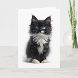 Carte Chat noir et blanc à poils longs Yeux bleus vides