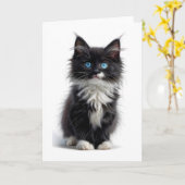 Carte Chat noir et blanc à poils longs Yeux bleus vides (Fleur jaune)