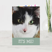 Carte Chat noir et blanc mignon Anniversaire (Devant)