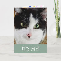 Chat noir et blanc mignon Anniversaire