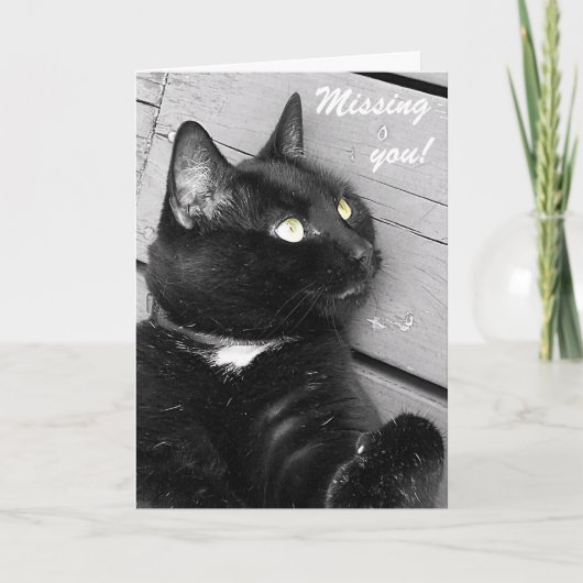 Carte Chat noir et blanc "Missing you" (Devant)