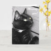 Carte Chat noir et blanc "Missing you" (Fleur jaune)