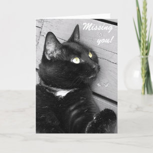 Carte Chat noir et blanc "Missing you"
