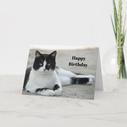 Carte Chat noir et blanc Tuxedo photo Anniversaire (Devant)