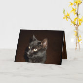 Carte CHAT NOIR HALLOWEEN (Fleur jaune)