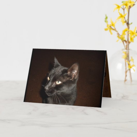Carte CHAT NOIR HALLOWEEN (Fleur jaune)