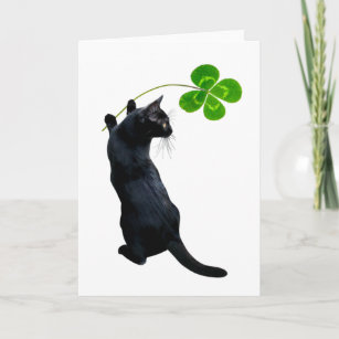 Carte Chat noir Lucky avec 4 feuilles de trèfle