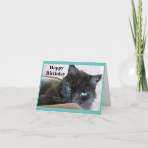 Carte Chat noir mignon Anniversaire
