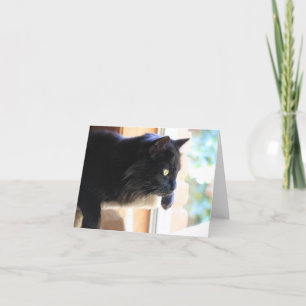 Carte Chat noir regardant par la fenêtre, blanc à l'inté