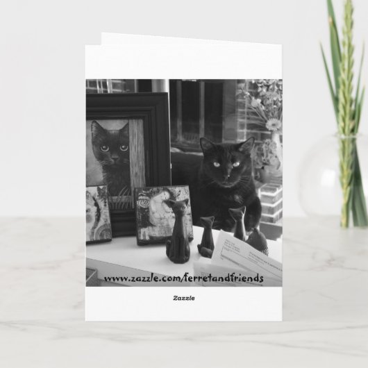 Carte Chat Noir Vous Manquant (Dos)