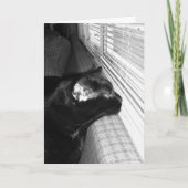 Carte Chat Noir Vous Manquant (Devant)