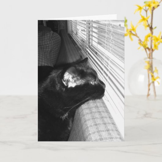 Carte Chat Noir Vous Manquant (Fleur jaune)