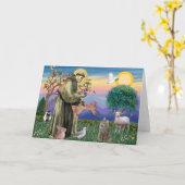 Carte Chat norvégien tabby - Saint François (Fleur jaune)