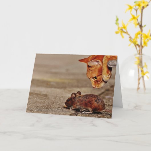 Carte Chat orange avec souris Blank Greeting (Fleur jaune)