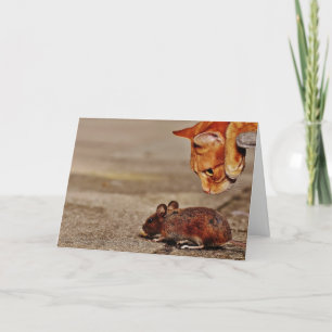 Carte Chat orange avec souris Blank Greeting