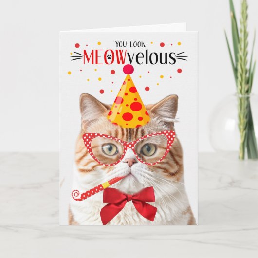 Carte Chat orange britannique Shorthair MEOWvelous Anniv (Devant)