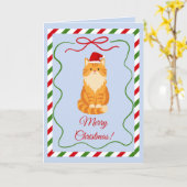 Carte Chat Orange Santa (Fleur jaune)
