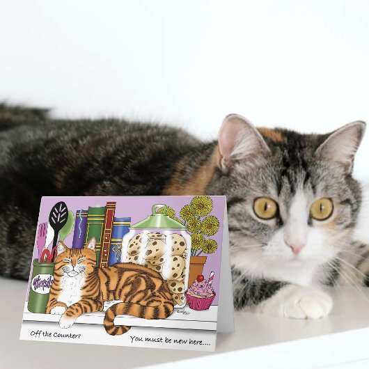 Carte Chat orange tabby impertinent sur le comptoir de c
