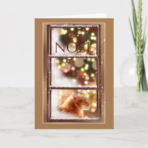 Carte Chat paisible à l'intérieur d'une fenêtre neige Ca