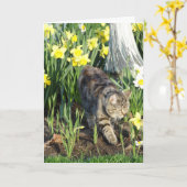 Carte Chat, peau ou jeu, anniversaire (Fleur jaune)