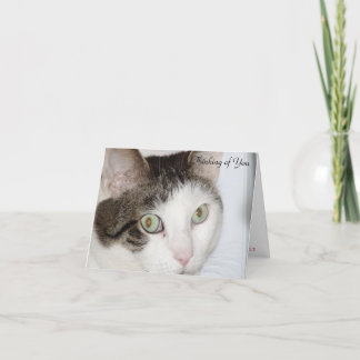 Carte Chat - Penser à vous