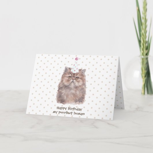 Carte Chat persan avec chapeau d'anniversaire (Devant)